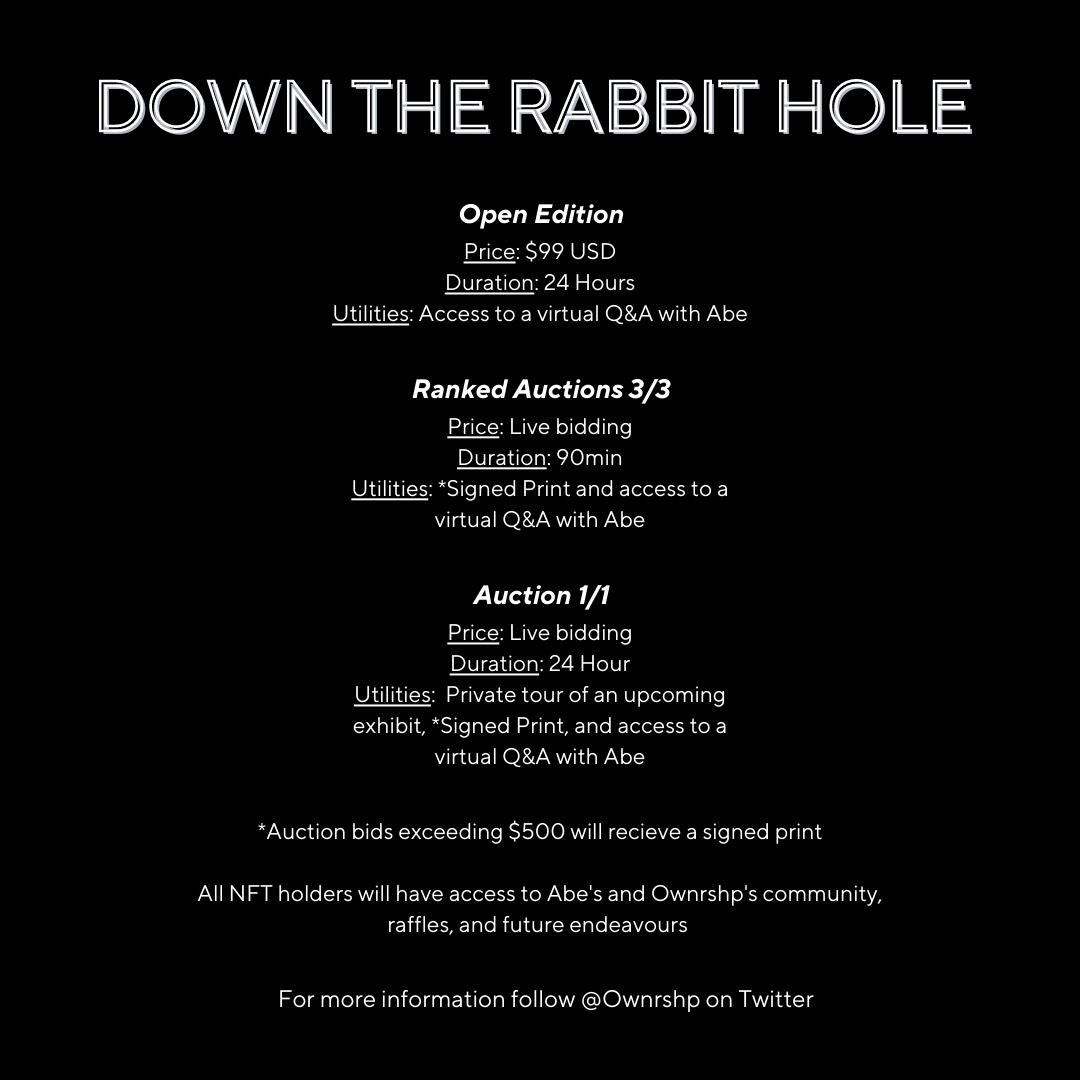 Ownrshp.io tweet media