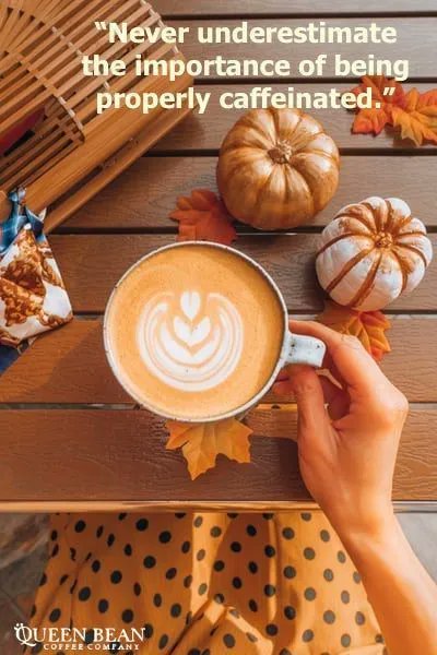 Cbp8Cindy's tweet photo. https://t.co/Ui8rU2nOE2 can help with that!
Code FT15=15% off your first whole bean or ground #coffee order!
#GetCaffeinated 
#TheQB
#CoffeeIsLife 
#MillsCoffee https://t.co/fGrfN7Opfz