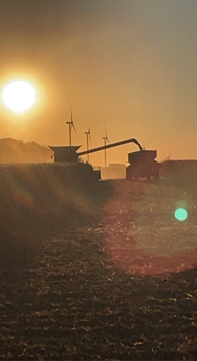 DRCfarms's tweet photo. @MikeLemon64 https://t.co/zBzAGuW5wm