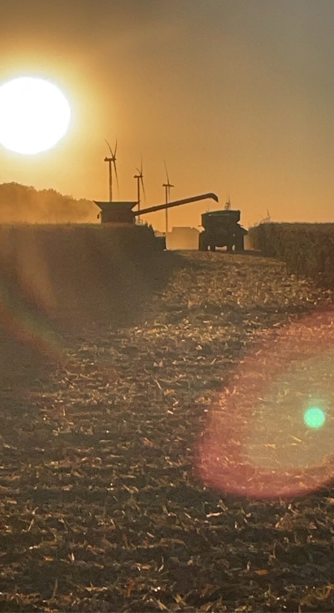 DRCfarms's tweet photo. @MikeLemon64 https://t.co/zBzAGuW5wm