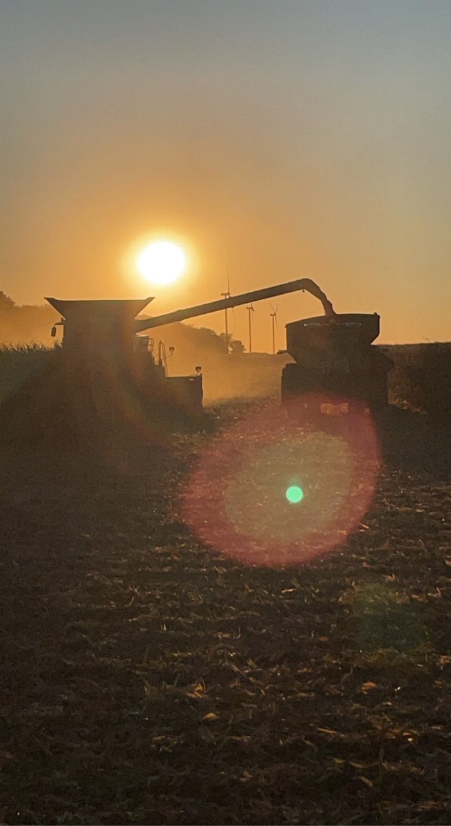 DRCfarms's tweet photo. @MikeLemon64 https://t.co/zBzAGuW5wm
