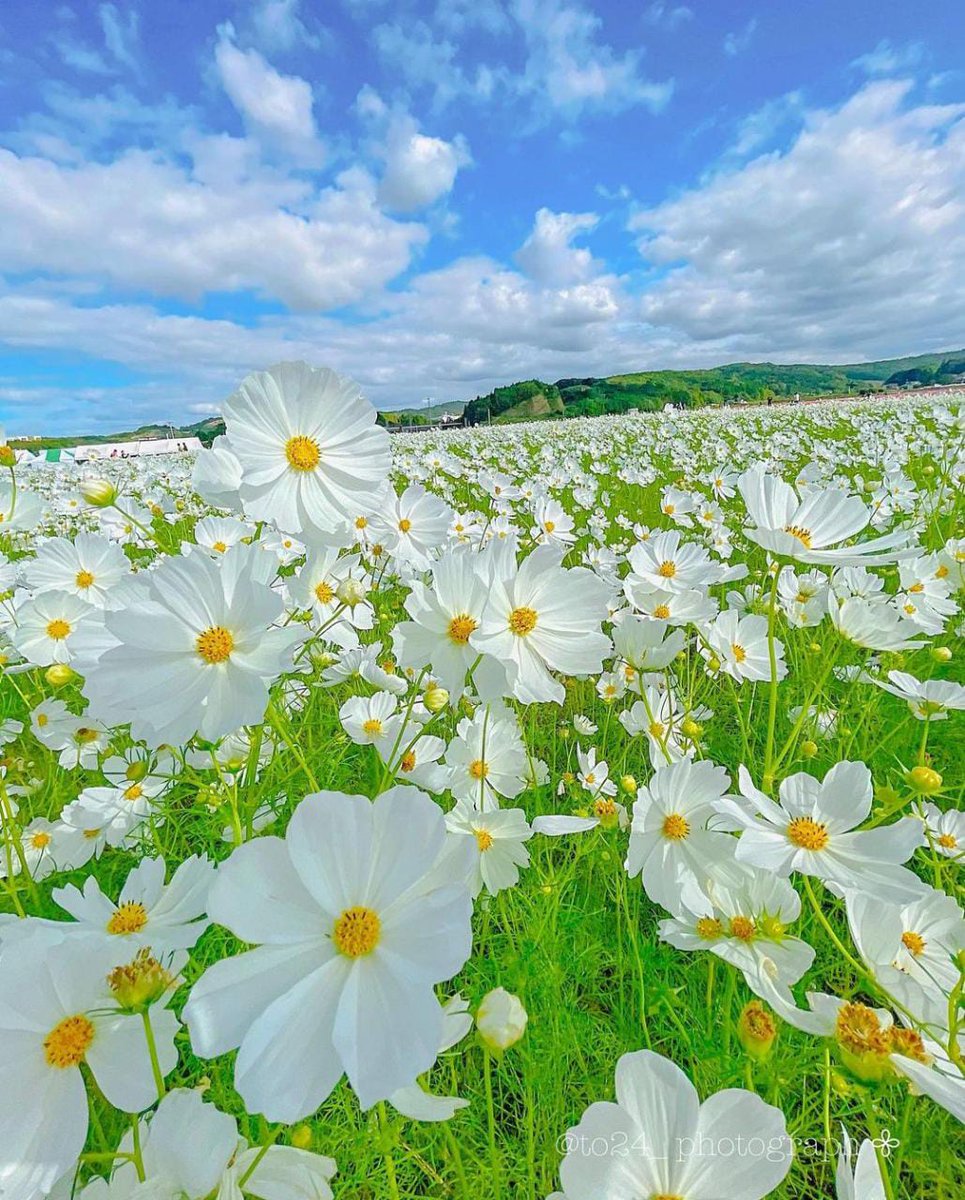 Calm Tuesday 🤗🌼☘️ @to24_photograph #NaturePhotography #nature