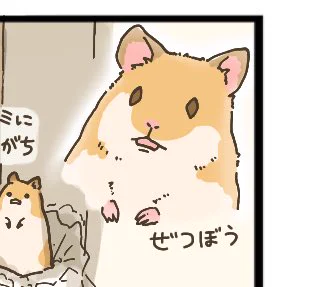 ぜつぼう 