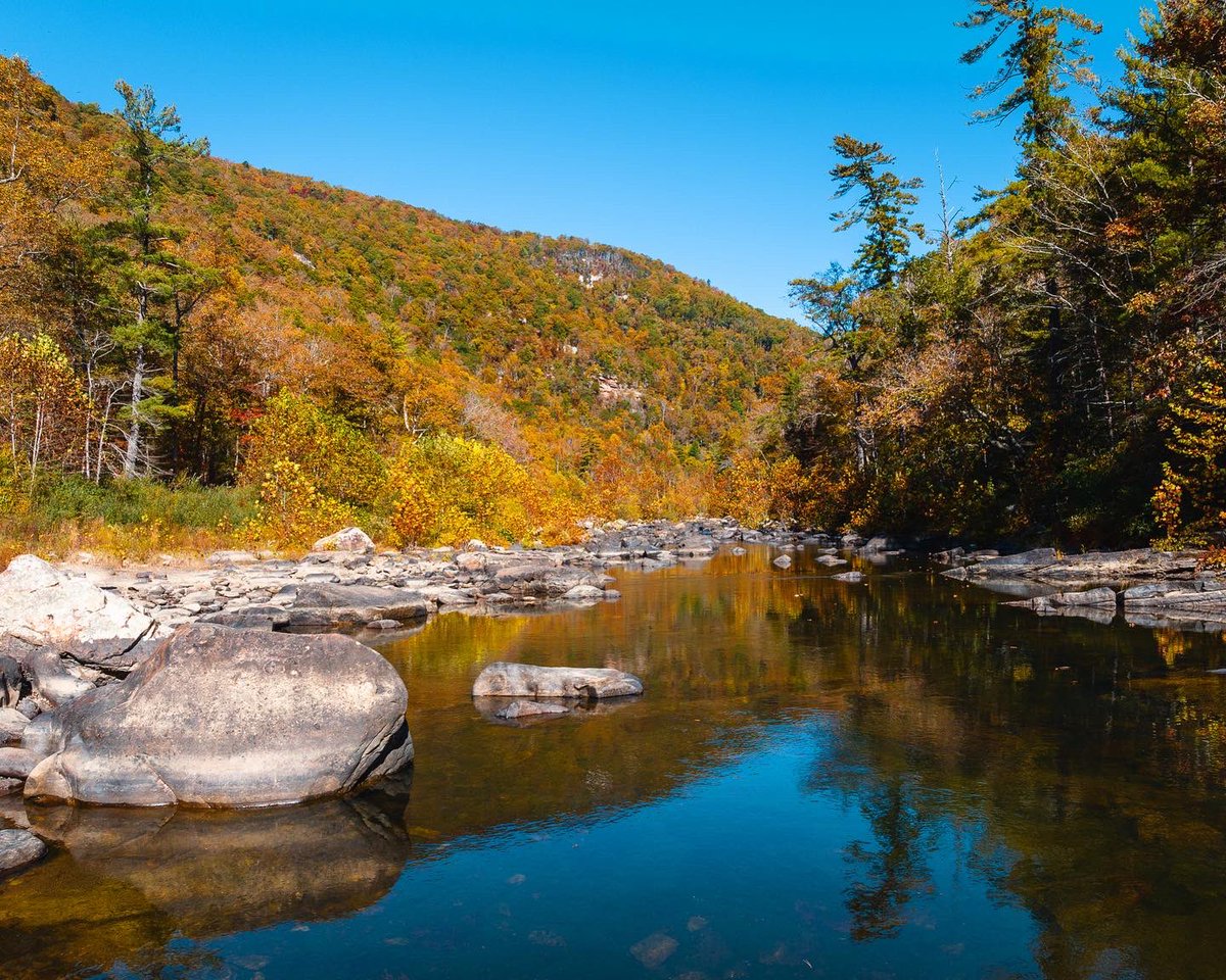 getcreativedog's tweet photo. 🍁 Goshen, Virginia 🍁
#loveVA #fallinVA #visitvirginia https://t.co/ogiaqrpwWI
