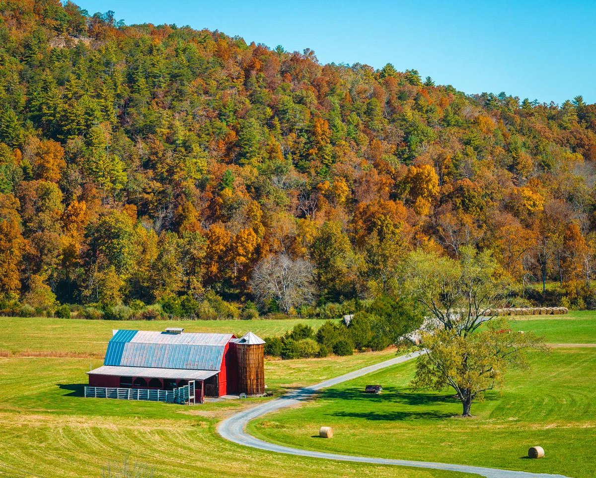 getcreativedog's tweet photo. 🍁 Goshen, Virginia 🍁
#loveVA #fallinVA #visitvirginia https://t.co/ogiaqrpwWI