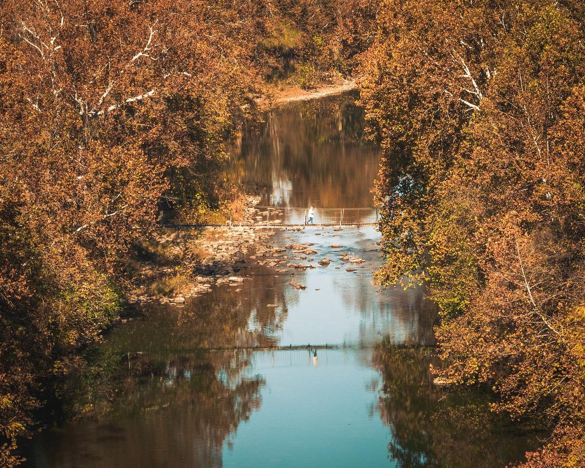getcreativedog's tweet photo. 🍁 Goshen, Virginia 🍁
#loveVA #fallinVA #visitvirginia https://t.co/ogiaqrpwWI