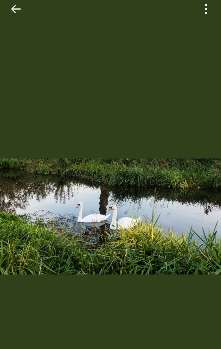 Booommm diiiiaaaaa 🌹