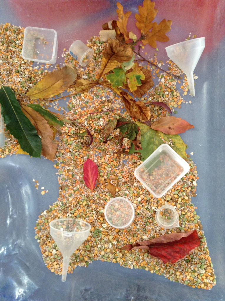 bonnin_mrs's tweet photo. In Nursery come and explore our Autumn nature table. How many conkers can you pick up with the tweezers? https://t.co/07SA6gv72z