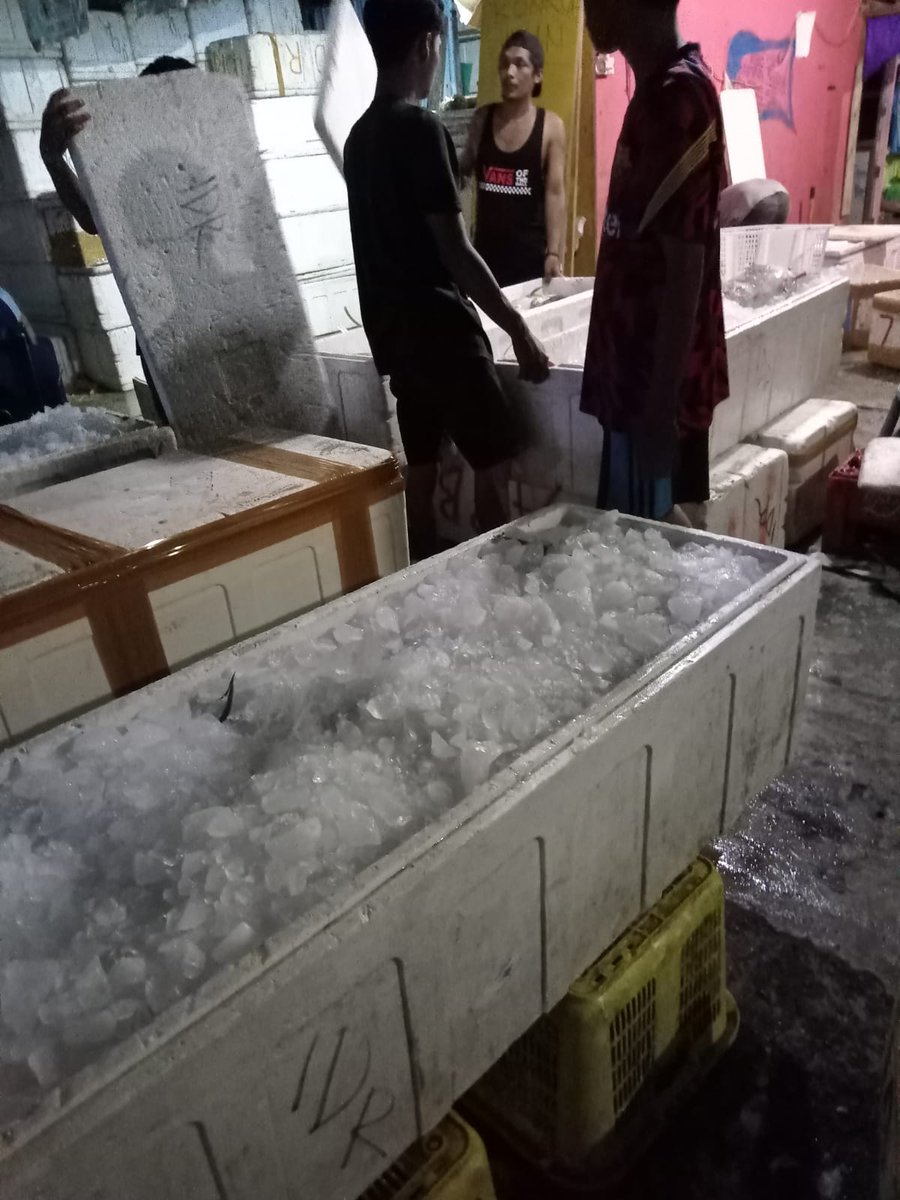 BKIPMBontang's tweet photo. Pengiriman komoditi ikan segar tujuan Parepare. https://t.co/1WyX56fNcd