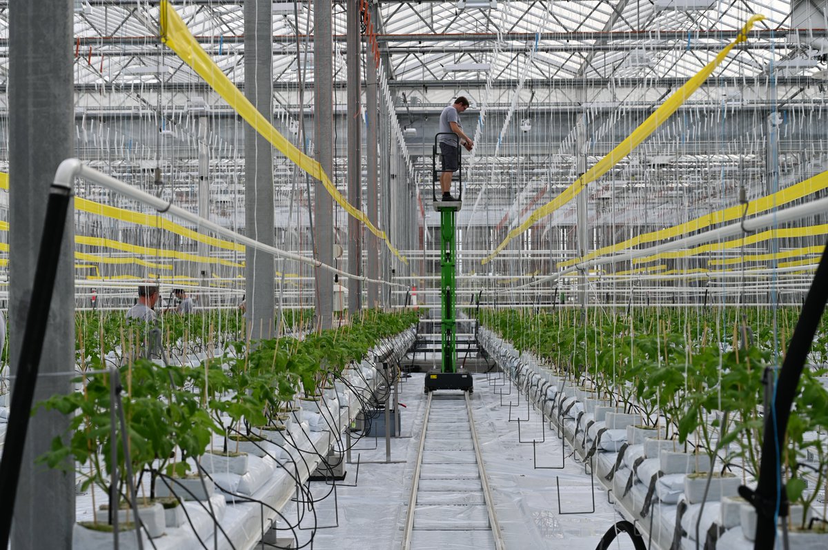 InAgrotopia tweet media