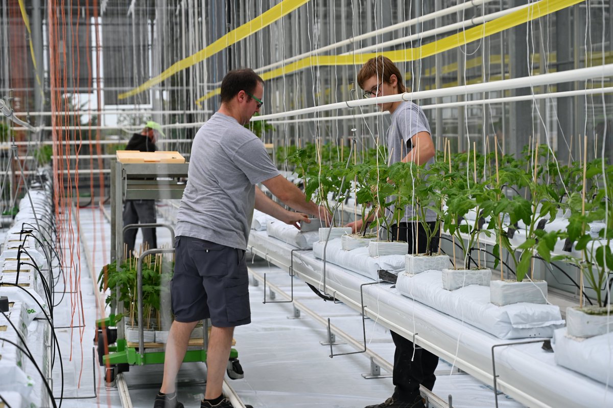 InAgrotopia tweet media