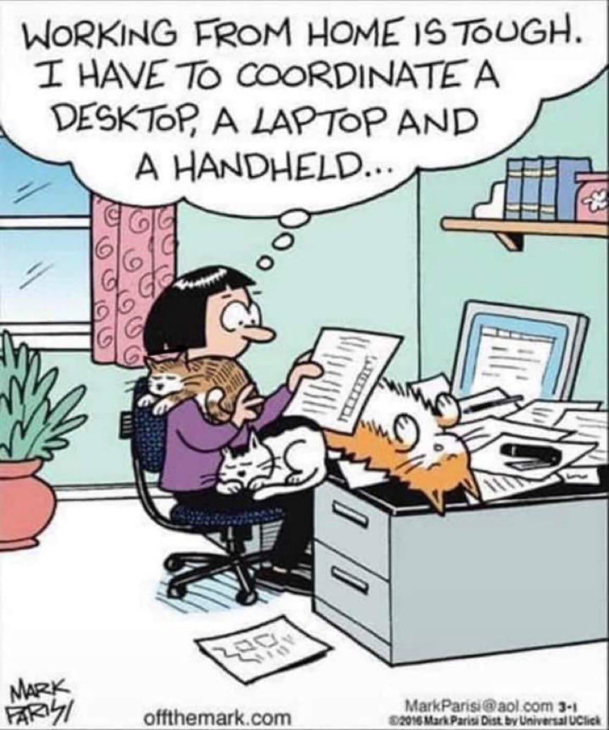 Aaaaah, the joys of ‘home working’……🐱🐾🐾💻🤣😂 @Number10cat @TheStourbridge @Fluffy_Trousers @AmbassadorAries @DomainDoris #CatsOfTwitter #CatsOnTwitter #Cats #WFH Credit: @OffTheMarkComic