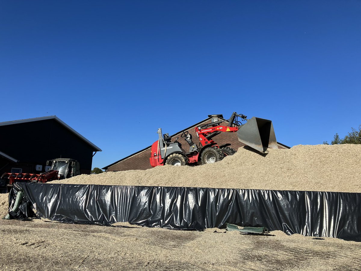 bergvdjaap's tweet photo. Vandaag kuilen we de eerste 2 (van de 14) vrachten perspulp in. Over 4 weken de rest in de grotere sleufsilo. Dit kuiltje is als overbrugging tussen de oude en nieuwe kuil.
#kleinmaardapper https://t.co/a3O3fUt93T