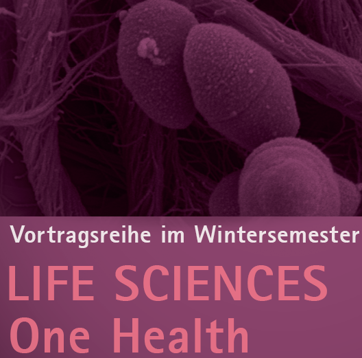 Helmholtz_HIOH's tweet photo. Greifswald 20.10.2022 18:00 Public event with livestream: Opening of the lecture series #LifeSciences with the main topic #OneHealth by Professor Dr. Fabian Leendertz: One Health approach to understand zoonoses @wiko_greifswald (https://t.co/PR10Q2hpXD) https://t.co/ryl1kaKvx7