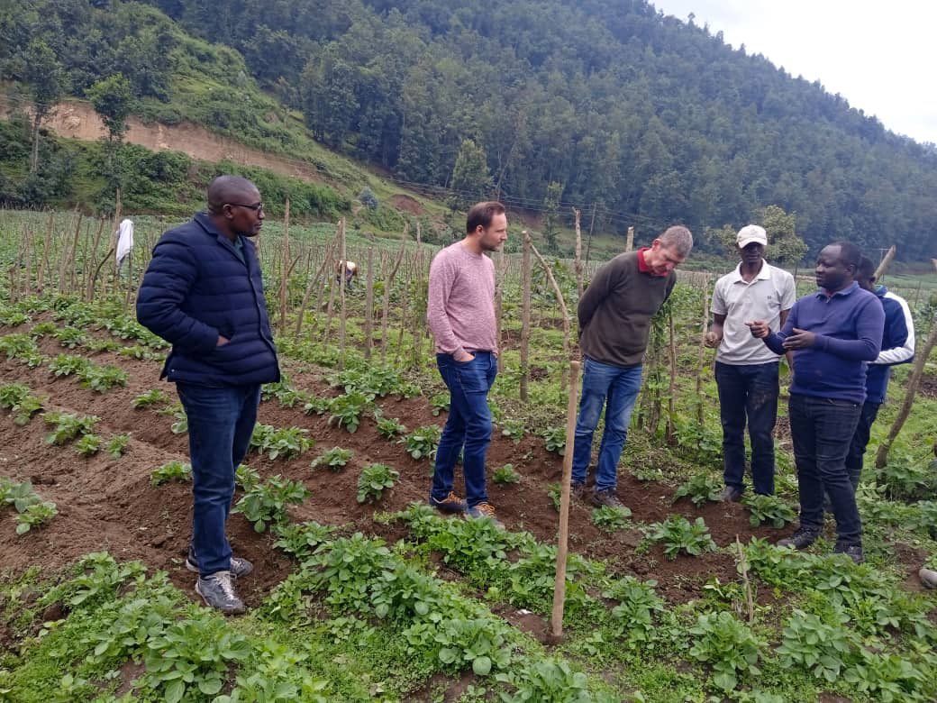 Good Day from the field! 
The agronomists from our project partners are receiving insights from a potato expert, Jan Salomons from Delphy. During his 2-day visit, he is providing insights on potato protection during its early stages of growth.
#CapacityBuilding #SDG2 #SDG17