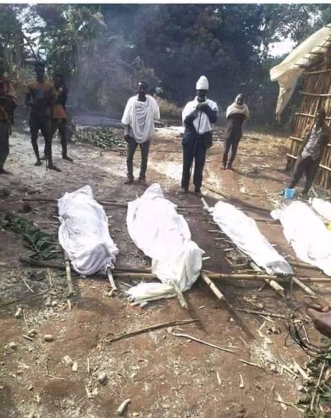 AsiLove12's tweet photo. The ethnic Amhara of Ethiopia are facing genocide as we speak and the silence of the international community is deafening
#AmharaGenocide #AmharaUnderAttack #OLFterroristGroup #TPLFTerroristGroup #TPLFisTheCause #StopWarOnAmhara
PoorAmhara farmers killing by OLF in Oromia Region https://t.co/0LR4UEc1Qs