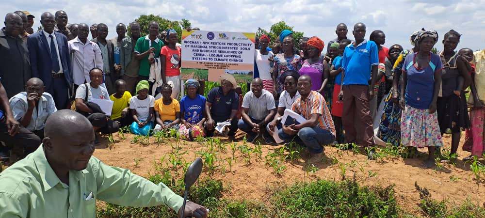 Drake P Mirembe, PhD tweet media