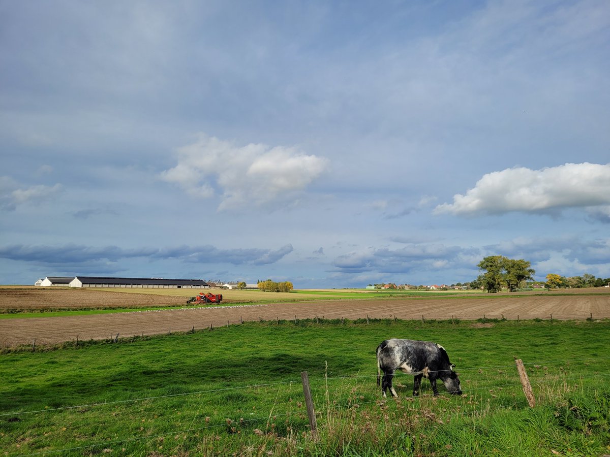 BekaertGregory's tweet photo. Gregory Bekaert
Dadizele 13u30
#vrtweer #vtimenen https://t.co/zGBX1xUeO7