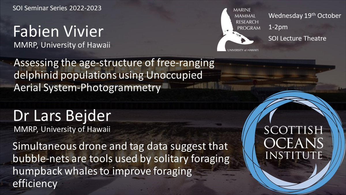 SchoolofBiology's tweet photo. SOI Seminar TOMORROW

Join us this Wednesday (19/10/22, 1-2pm) @ the SOI Lecture Theatre to hear 2 fantastic guest speakers, Fabien Vivier &amp; Lars Bejder from the University of Hawaii, talk about drones, dolphins &amp; humpback whales! 🐬🚁🐳

Looking forward to seeing you all there! https://t.co/Vf8SjeP2mT