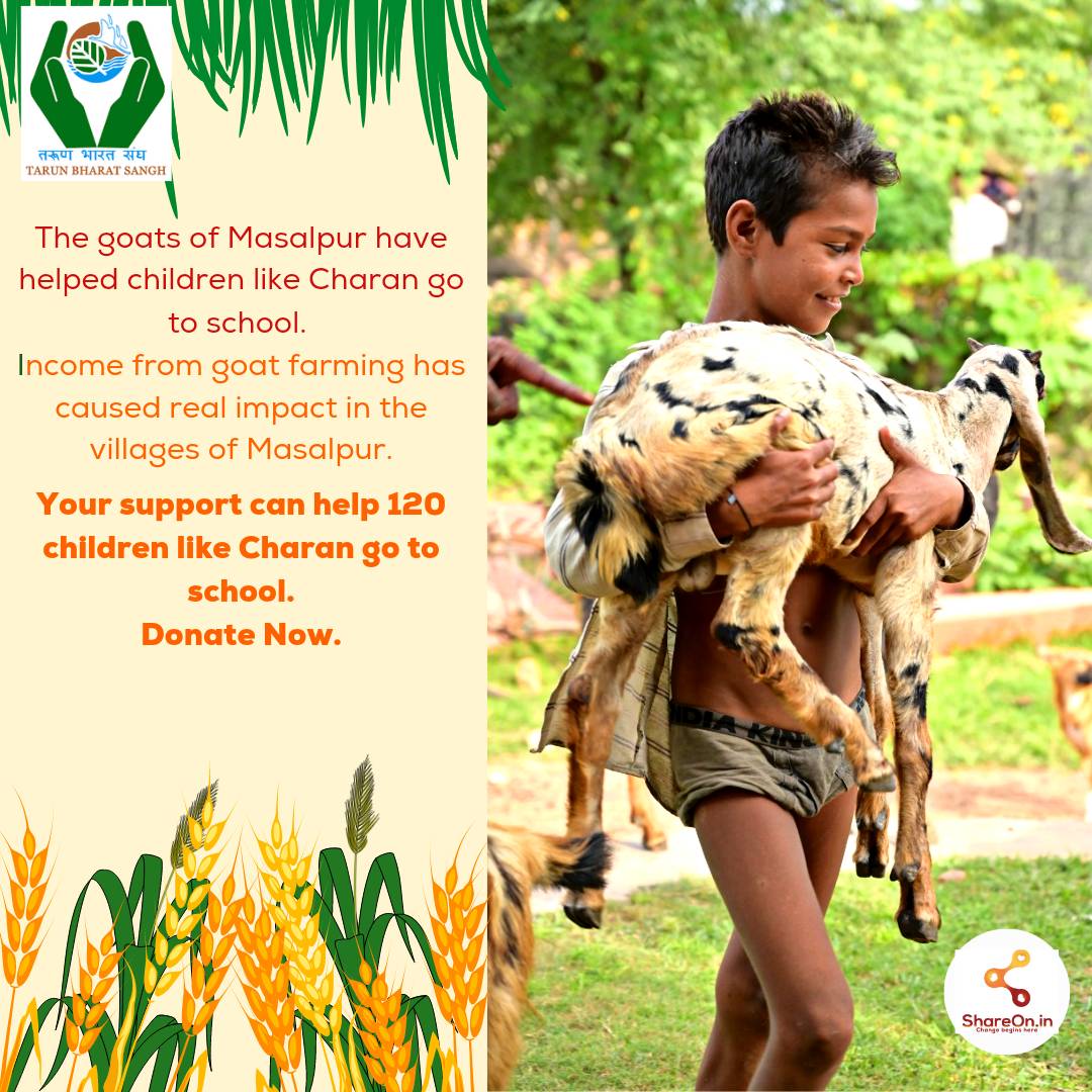 ShareOn_in's tweet photo. Donation of goats to Charan's landless father has enabled them to make a living and send his child to school. Help more children like Charan.
Donate Now :
https://t.co/026Sai1f6k
#children #educate #goat #farmer #landless #shareforcare #indianeedsyou https://t.co/fVmRVBu33E