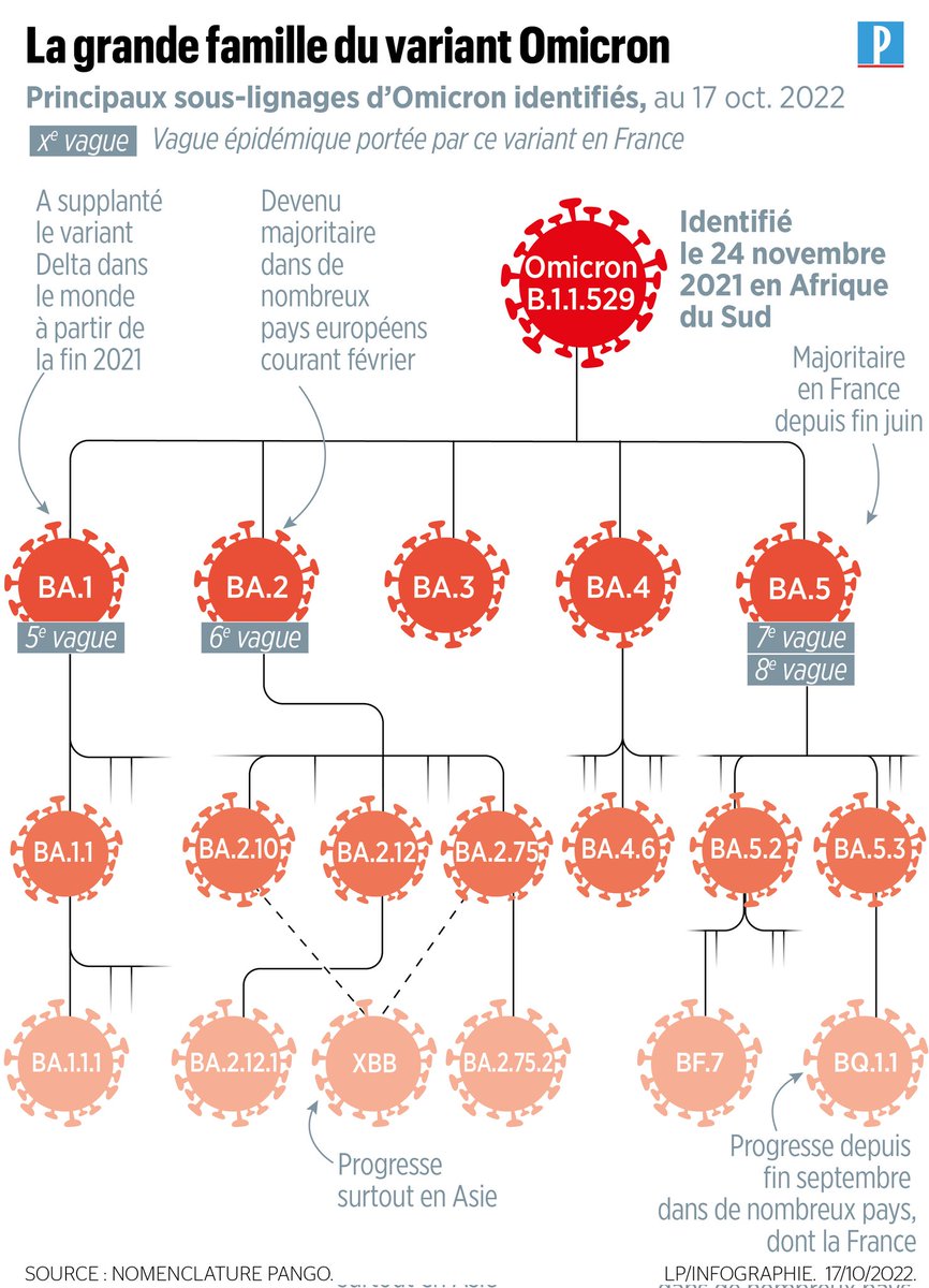 Pour le moment , en Europe et aux Etats-Unis, c'est surtout le variant Omicron BQ.1.1 qui progresse.

Mais XBB pourrait y arriver prochainement, en raison de son échappement immunitaire prononcé.

8/8

👉 leparisien.fr/societe/sante/…