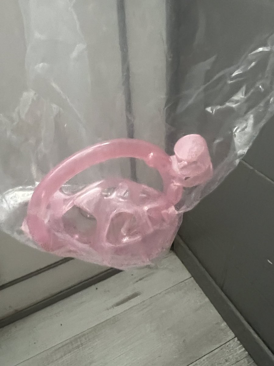 LizeHubTS's tweet photo. OMG j’ai reçue ma cage 🥹 https://t.co/RoQpi8Iq8F