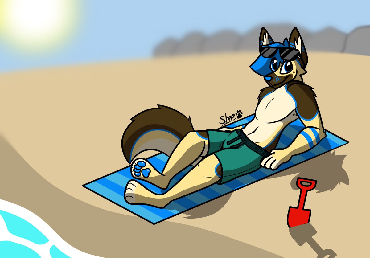 Doggo on da beach