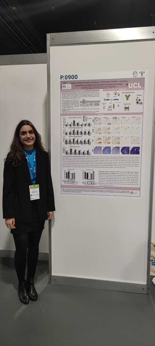 Our poster is up, P.0900 #ECNP2022 ! Inhibition of #STAT3 in neonatal hypoxic ischaemic #encephalopathy. @MariyaHristov12 @PADs_CNS @HristovaLab @UCL_IfWH