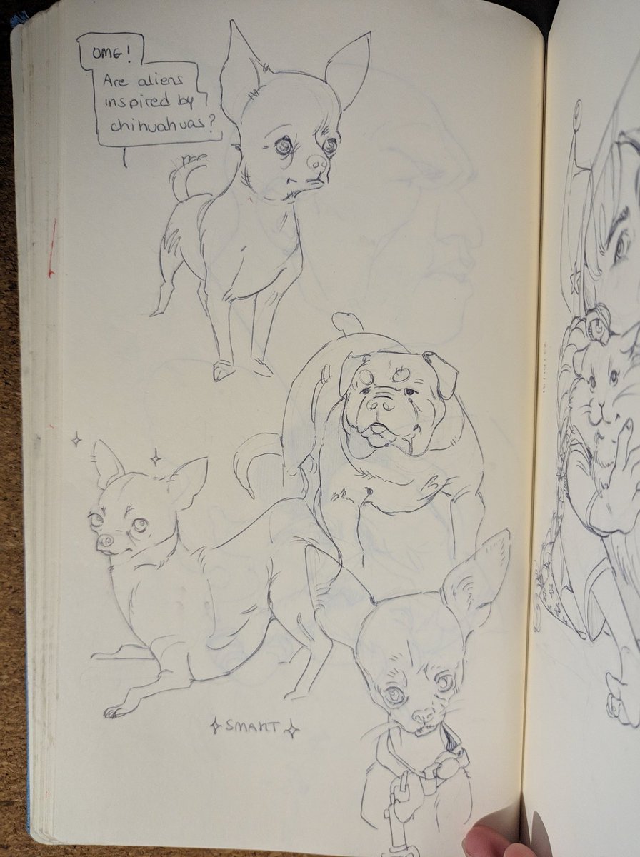 LU_1984_'s tweet photo. Algunos sketches de ayer y el domingo. https://t.co/zHBXefAh2q