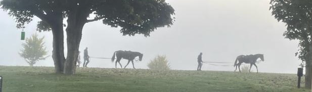 Faye Bramley Racing at Lodge Down Stables tweet media