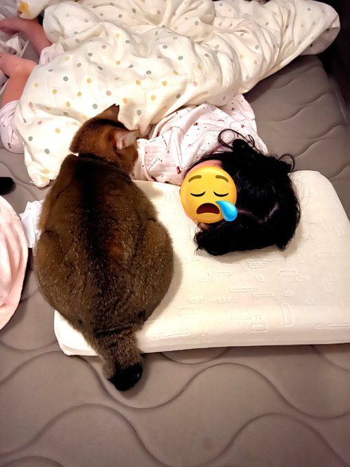 長女が眠るまで枕元で寝かしつける、ニャルソックのナイトルーティーン- ̗̀⋆  ̖́- 