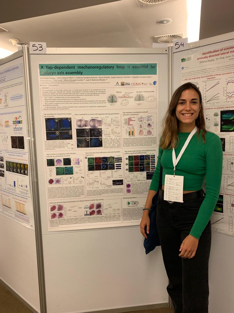 Ana Sousa tweet media