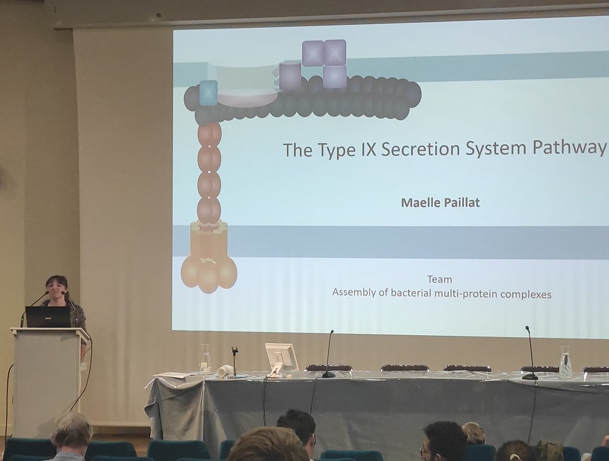 LISM_CNRS_AMU's tweet photo. One of our PhD student, @maelle_paillat is presenting her nice work on #T9SS today  at the Doctoral School ED62 symposium from @univamu https://t.co/So33dr2C1N