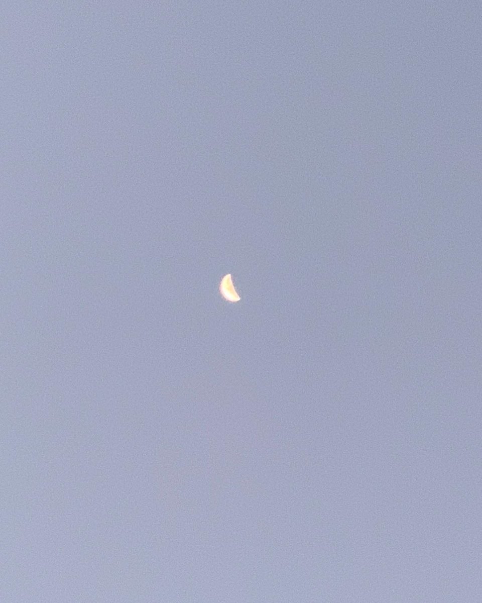 okamoto_sandra's tweet photo. Good morning, Columbus! The waning crescent moon is at 42.8% and is high overhead. #ColumbusGA #mydailyphoto #10/18/2022 #2022project #cloudlesssky #sunnotupyet #verychilly #drierair #breezy #birdswakingup #mymoonobsessioncontinues https://t.co/KELnBU5nRB