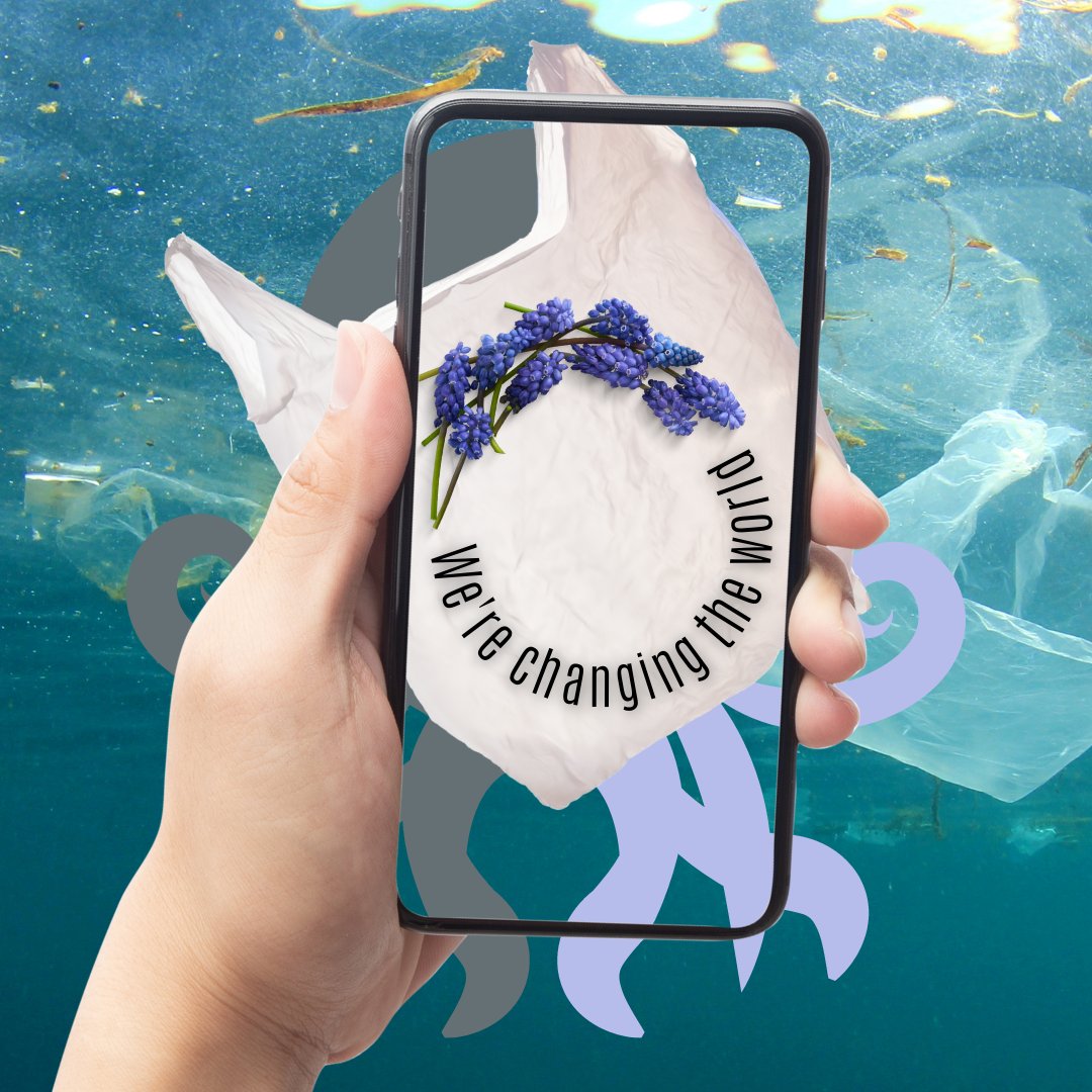 NFT with utility : Praia do Rosa Beach Brazil
meta11-11nft | opensea

#nft #nftbrazil #octopus #digitalart #blockchains  #metaverse #etheruem #nftbuyers #nftmarkets  #nftopensea #nftinvesting #nftclub #Beachcleaning #Plasticbag #pollution #ChangetheWorld #Brazil #PraiadoRosaBeach