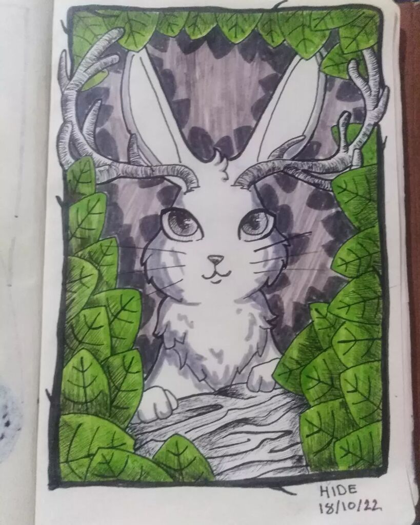jadvin_art's tweet photo. Day 18 of #creachertober  hide. This little jackalop is hidding in the bushes.

#inkdrawing #octoberillustration  #dailyillustration #jackalope #drawingprompts https://t.co/dExKd6jj63 https://t.co/7qmDoOoSer