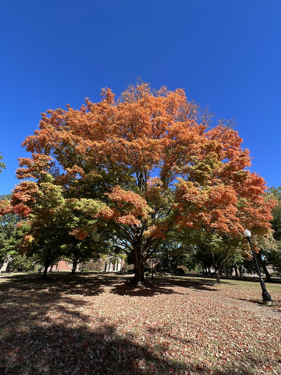 Keith Carver tweet media