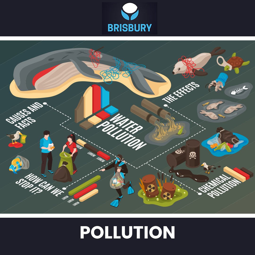 BrisburyS2's tweet photo. Pollution is the introduction of harmful materials into the environment. These harmful materials are called pollutants. Pollutants can be natural, such as volcanic ash. 

#brisbury #pollution #pollutionfree #saveenvironment https://t.co/CFno5vD2Sm