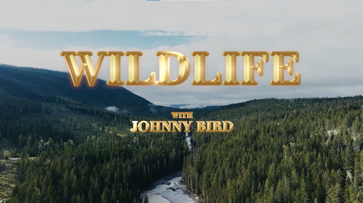 Bueno y atentos al experto que trajimos para que nos explicara como utilizar un spray anti osos 🐻