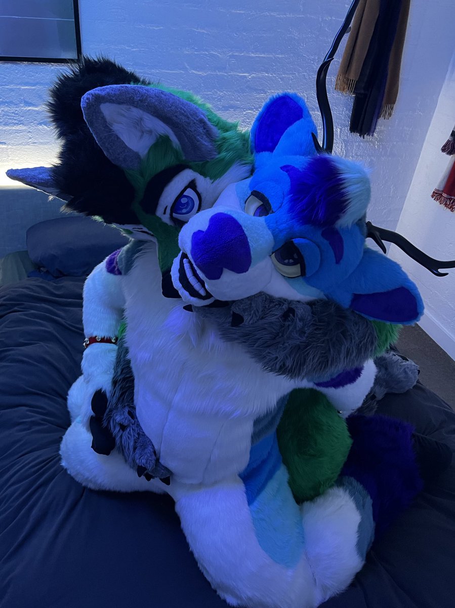 Torani_Wolf's tweet photo. Submit~ 💜

🦌 - @DeerSaliva 
📸 - @algos_cougar https://t.co/n8wPwH0XvC