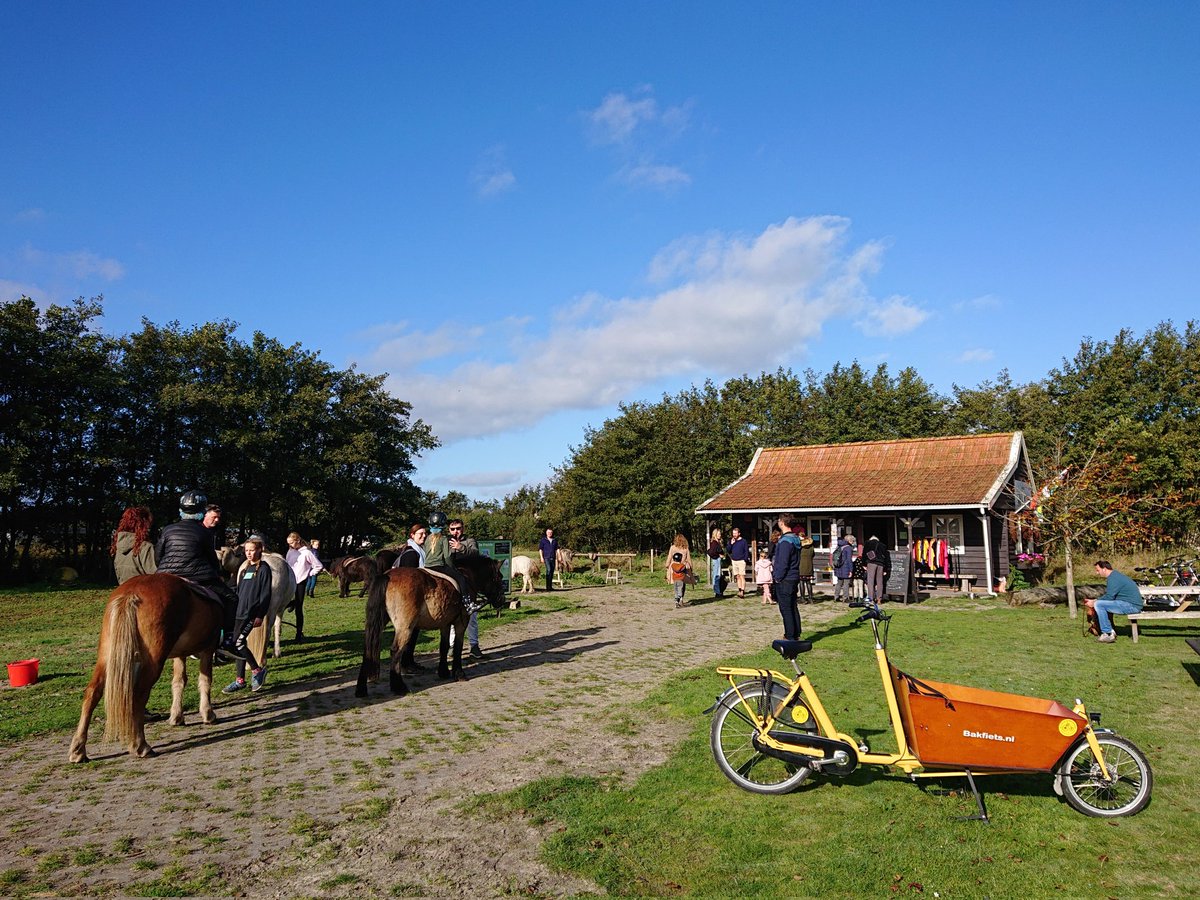 Het is weer gezellig druk op de Prairie! 💕
Pony's en paarden en ponyfans die komen op stalen rossen. 🐎🚲 De fans dus. 

(Het is nooit ver fietsen: de Prairieponykudde woont middenop het eiland!)
#gezond #stalenros #ponyrijden #wandelponys #Shetlanders #dePrairie #Terschelling