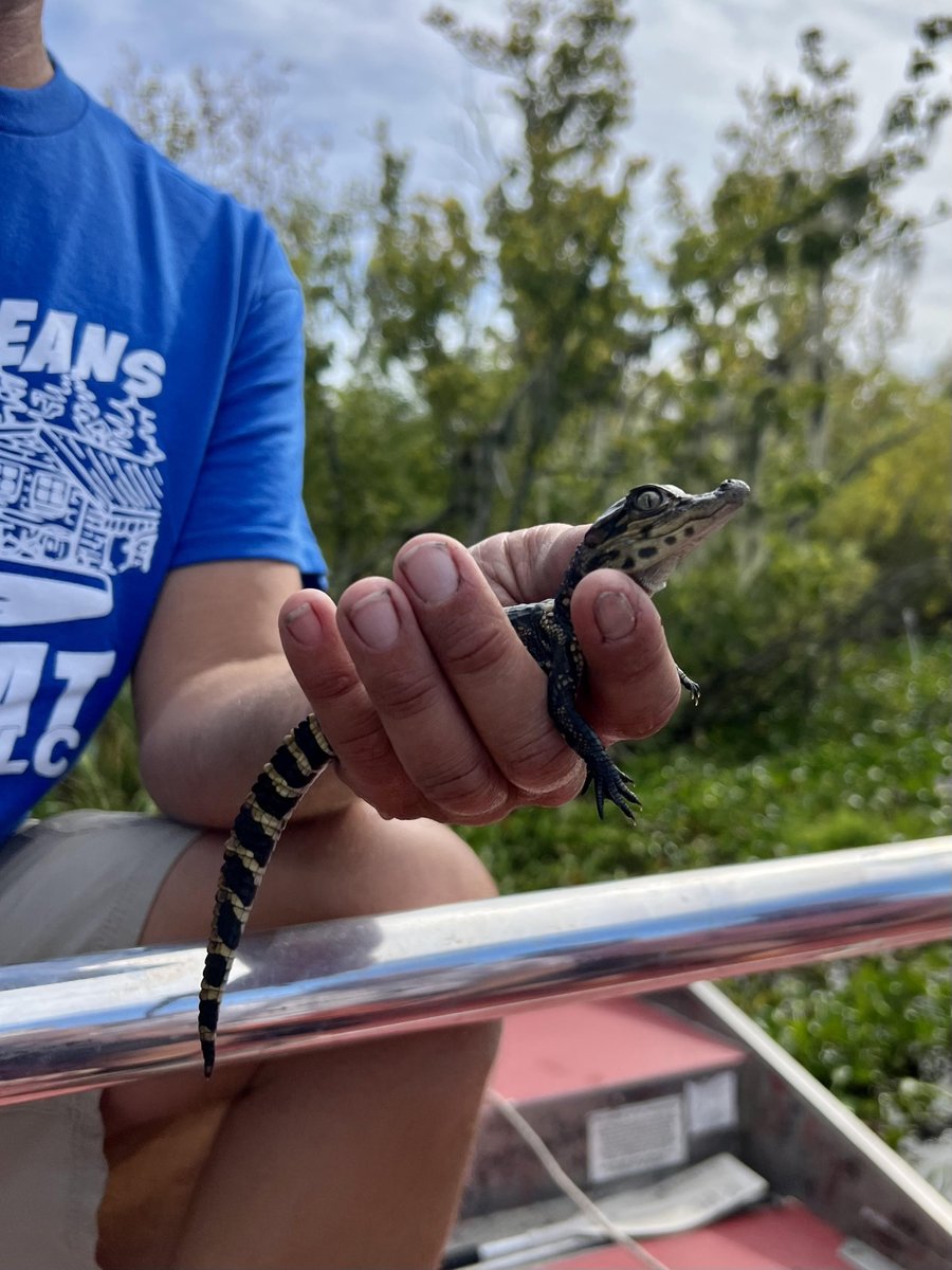 321Gang's tweet photo. We took a little side trip over to Lafitte while we were in NOLA last week. Thank you, New Orleans Airboat Tours!
https://t.co/tt4vHsICMI
#IBM #WeAreTDSYNNEX #SodiusWillert @SodiusCorp @IBM #ClearObject @ClearObject @TDSYNNEX #engineeringexcellence #continuousengineering https://t.co/rme29cH53Q