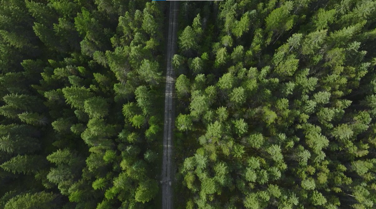 Es que estamos viendo de todo, osos, caídas, pinchazos, mucha velocidad… ¿Qué creéis que va a ser lo siguiente? 🤔