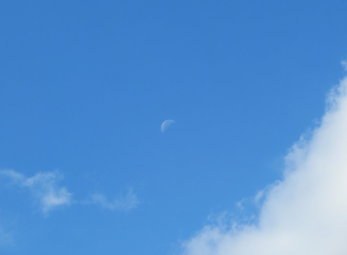 trhonymohamed's tweet photo. Moon at noon with some white clouds.
Libya. Tuesday 18-10-2022.

#Moon 
#Luna 
#MoonHour 
#MoonHourAmbassador 
#Nasa🚀
@MoonHour321
@ThePhotoHour
@StormHour
#MoonHourNASAObserveMoonNight 
#Lunar 
@321MoonHourGirl
@NASAMoon 
#observethemoon https://t.co/1YXnK85DOx