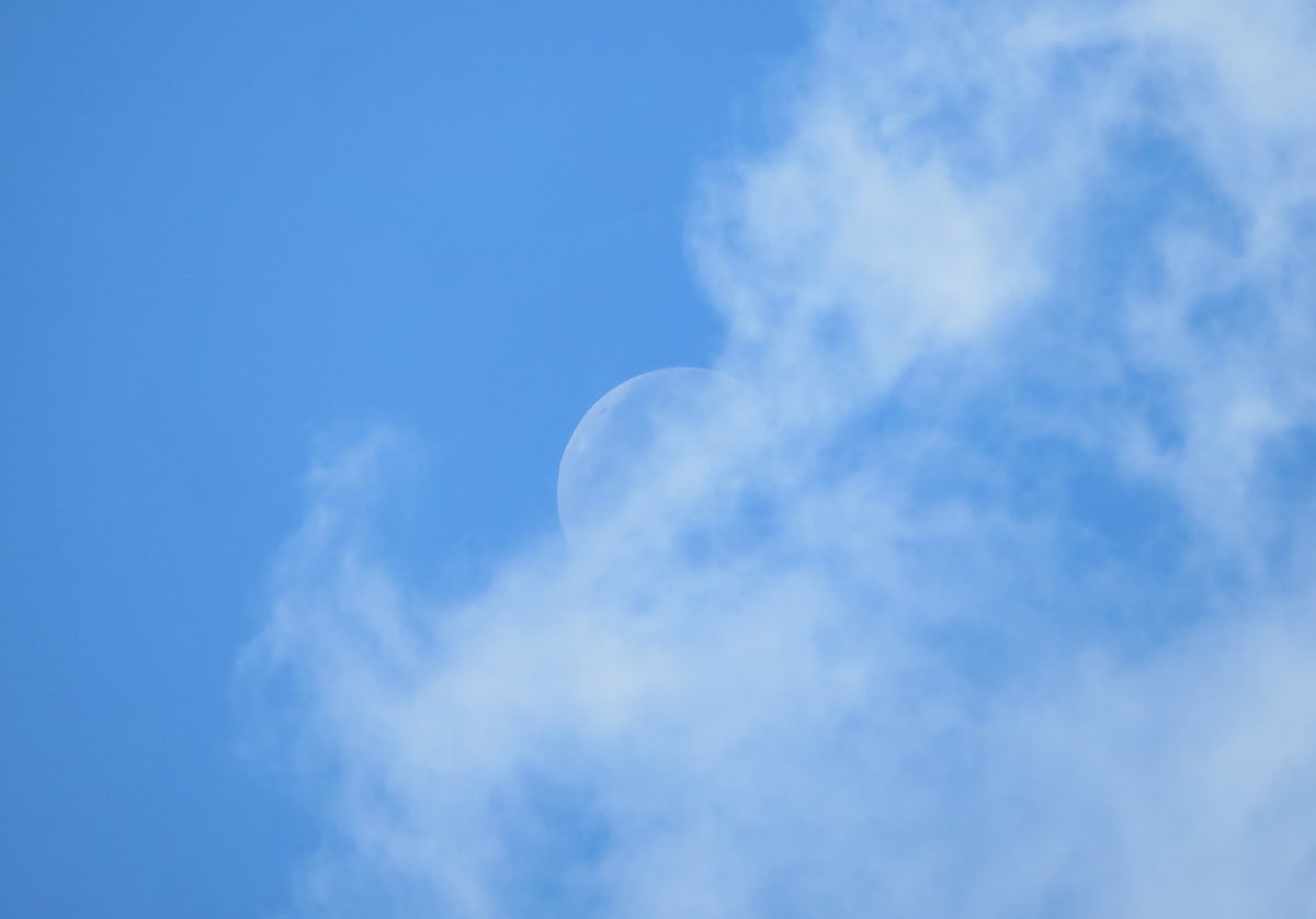 trhonymohamed's tweet photo. Moon at noon with some white clouds.
Libya. Tuesday 18-10-2022.

#Moon 
#Luna 
#MoonHour 
#MoonHourAmbassador 
#Nasa🚀
@MoonHour321
@ThePhotoHour
@StormHour
#MoonHourNASAObserveMoonNight 
#Lunar 
@321MoonHourGirl
@NASAMoon 
#observethemoon https://t.co/1YXnK85DOx