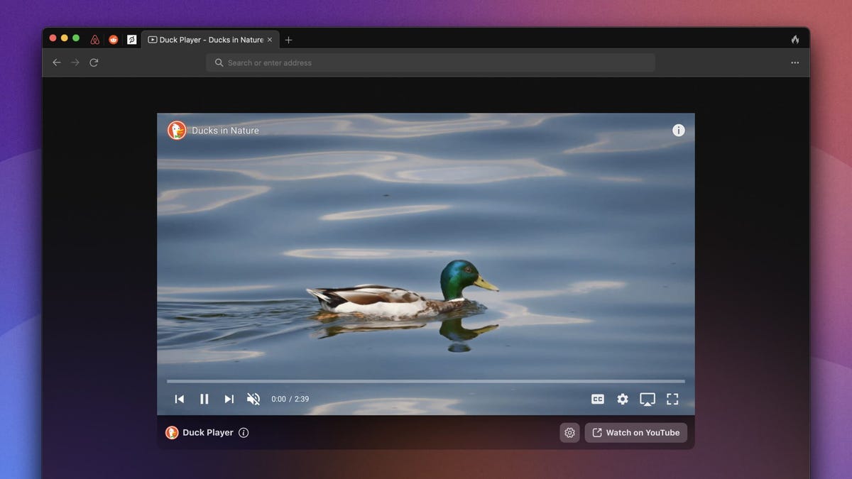 Gizmodo's tweet photo. DuckDuckGo's New Web Browser Will Protect Your Privacy While You Watch YouTube https://t.co/07GyZun6ep https://t.co/utSUjiWYBS