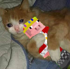 Y'all I really miss Technoblade