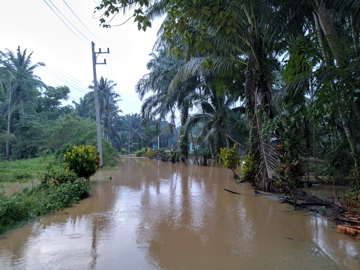 WoraphonMFP's tweet photo. น้ำคลองชุมพร ล้นตลิ่ง ท่วมถนน และบ้านเรือนประชาชน ในพื้นที่ ต.ตากแดด อ.เมืองชุมพร #น้ําท่วม #ชุมพร #พายุเนสาท https://t.co/xtoOJSzYZY