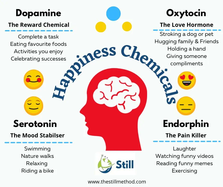 thestillmethod's tweet photo. Happiness chemicals and how to hack them ๐
#thestillmethod #happiness #anxiety https://t.co/OvCoLMbqeh