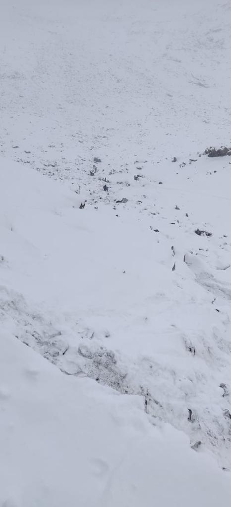 District Police Leh tweet media